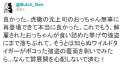 附圖