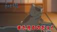 附圖
