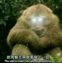 附圖