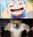 附圖