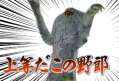 附圖