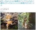 附圖
