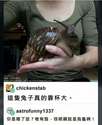 附圖