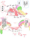 附圖