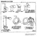 附圖