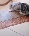 附圖