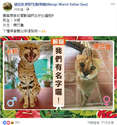附圖