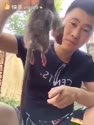 附圖