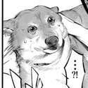 附圖