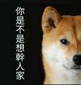 附圖
