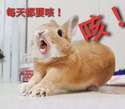 附圖