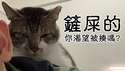 附圖