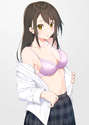 附圖