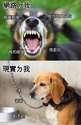 附圖