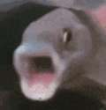 附圖
