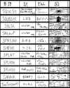 附圖
