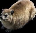 附圖