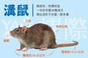 附圖
