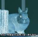 附圖