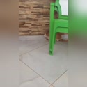 附圖
