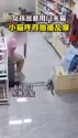 附圖