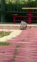 附圖