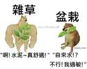 附圖