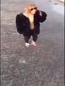 附圖