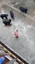 附圖