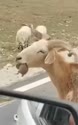 附圖