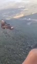 附圖