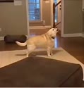 附圖
