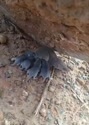 附圖