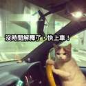 附圖