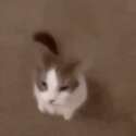 附圖