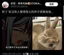 附圖