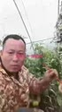 附圖