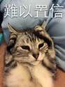附圖