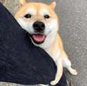 附圖