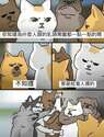 附圖