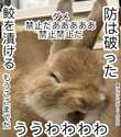 附圖