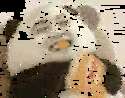 附圖