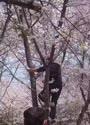 附圖