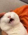 附圖