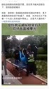 附圖