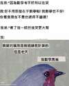 附圖