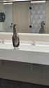 附圖