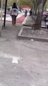 附圖