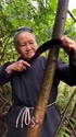 附圖
