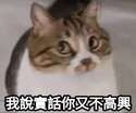 附圖